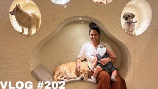 CUTEST CAFE IN HYDERABAD FOR PET LOVERS 🥰 || UPGRADED PACKAGING FOR YANA 🤍