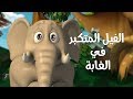 كليب في الغابة 