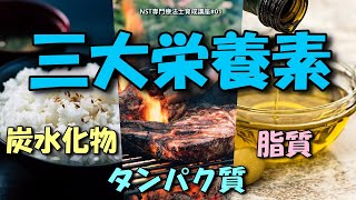 【栄養/基礎】三大栄養素について【NST専門療法士／管理栄養士育成プロジェクト：基礎編01】