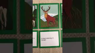 Waseca Biomes Europe Continent Reader - The Red Deer