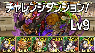 【パズドラ】チャレンジダンジョン！ Lv9 回復なし (2016.09.12-18) 月下の愛猫神のアーマー・エース 龍族拼圖