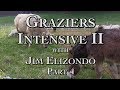 Graziers Intensive II part 4