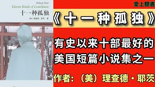 有聲書 快速聽本書-十一种孤独 #聽書#知識#小說#有聲書