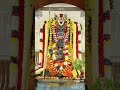 miracles of raghavendra swamy  mangalaarti manthralayam