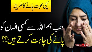 Sachi Mohabbat Pane Ka Tarika ?? | Be Patience in Hard Times | Best Aqwal E Zareen In Urdu