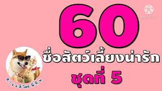 60 ชื่อสัตว์เลี้ยงน่ารักๆ สำหรับ น้องแมว , น้องหมา , กระต่าย , หนูแฮมสเตอร์