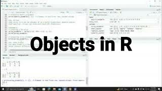 Objects in R: The Very Basics