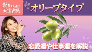 【天宝占術】開運アドバイス「オリーブタイプ」はパッションが全て！TBS『占いメガネ』出演中