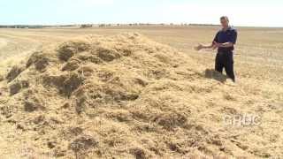 IWM: Weed Seed Bank Destruction - More Efficient Use of Chaff Carts