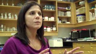 Why UHCL Students Make Great Job Candidates