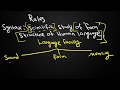 SYNTAX-1: Types of Grammars and Locating Syntax within Linguistics