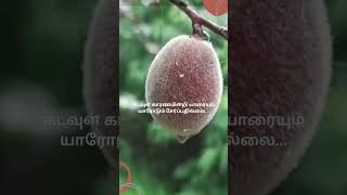 காரணமின்றி எதுவும் இல்லை