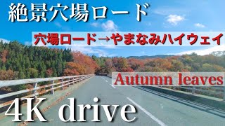 4K大分ドライブ車載　紅葉絶景ロード　泉水ロード→やまなみハイウェイ　長者原　60fps  Dji pocket2  pocket3の発売が待ち遠しい、、