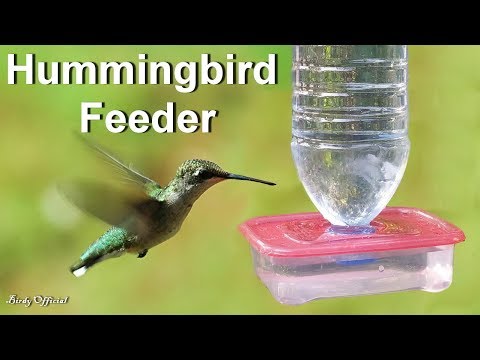 Hummingbird Feeder - How To Make A Hummingbird Feeder Hummingbird Feeder - How To Make A Hummingbird Feeder