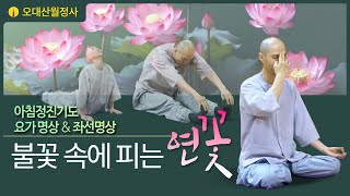 불꽃속에피는연꽃 12월 9일 아침정진기도 | 스님과 함께하는 요가명상과 좌선명상 | Guided Daily Meditation