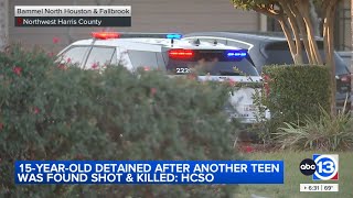 Overall crime down in Cypress Station area, Harris County Sheriff's Office says