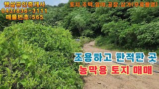 매물565 괴산군 청안면 위치, 조용하고 한적한 곳 농막용 토지 매매