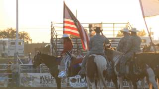 2014 Military Appreciation Night at the Rodeo