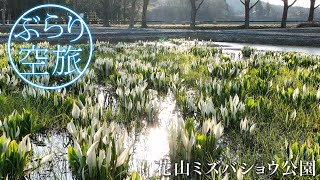 【ドローン空撮】宮城県栗原市・花山ミズバショウ公園（「ぶらり空旅」/チャージ！）