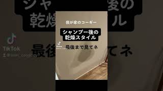 我が家のコーギーシャンプー後の乾燥スタイル🧴ドライーハンバンっていう犬用ドライジャケットを使用しています✨シルエットが可愛すぎる🧡