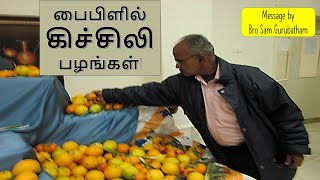 பைபிளில் கிச்சிலி பழங்கள் | Apples | Kichili Palangal | Sam Gurubatham Bible Lessons