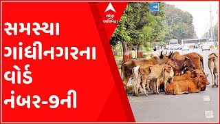 મારું શહેર મારી વાતઃ ગાંધીનગરના વોર્ડ નંબર-9ના સ્થાનિકોની શું છે સમસ્યા?