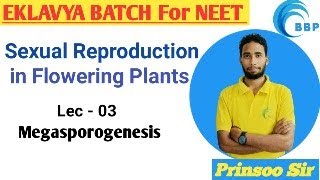 SEXUAL REPRODUCTION IN FLOWERING PLANT (MEGASPOROGENESIS) EKLAVYA BATCH FOR NEET2025 PRINSOO SIR