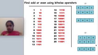 Find odd or even using bitwise operator - C Programming lecture series