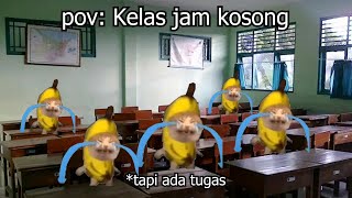 Pov : Jamkos tapi ada tugas | meme kucing 🤣 11