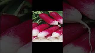 Health Benefits of white radish | முள்ளங்கி | Tamil | Mullangi | Ravi Shines Tamil