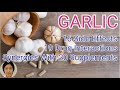 (Subtitle) Garlic: Dangers & Side Effects. Synergies With Supplements. Beware Of Drugs Interactions