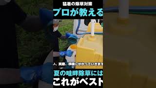 年間80ha除草作業する農家が断言「夏の畦畔除草にはこれがベスト！」 #Shorts