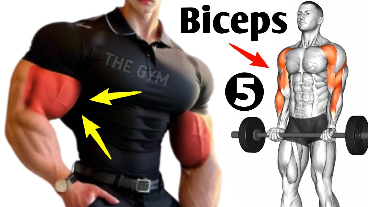 5 Effective Exercises Get Bigger Biceps Faster Youtube