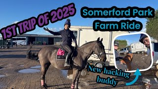 SOMERFORD PARK FARM RIDE ~ New hacking buddy @loosecanonjack || KATIELEWIS100