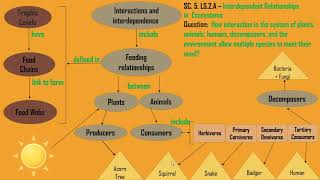Interdependence Concept Map