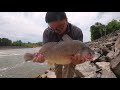 【河钓七】河边钓鱼抓到三条鲈鱼，一条鲶鱼河和四条石首鱼。i caught three bass one catfish and four drum in river fishing.