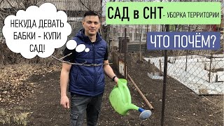 Купил сад в СНТ - с чего начать? УБОРКА ТЕРРИТОРИИ - что почём? #сад #дача #огород