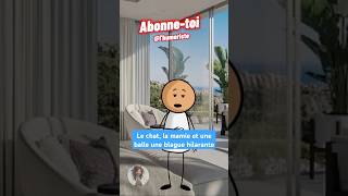 Le chat, la mamie et une balle une blague hilarante #humour #drole #blague #rire #comedie  #memes