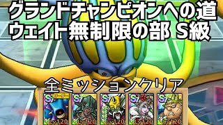 【ドラクエタクト】グランドチャンピオンへの道 ウェイト無制限の部S級 全ミッションクリア