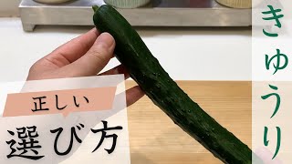 【きゅうり】美味しい！新鮮！きゅうりの選び方