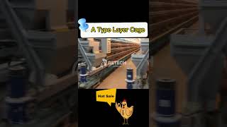 Egg Farming Business|Modern Layer Poultry Farm Cage Design - RETECH Farming