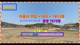 물건번호:420. 준보전 산지, 생산관리지역으로 충남 홍성군 서해안 고속도로인접.사방이 차량도로접하고 임야+ 전답+ 대지로 7878평. 임야는 경사도가 낮고, 마을접함.