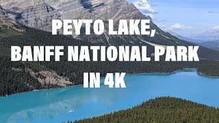 Peyto Lake Travel Guide in 4K, Banff National Park, Alberta, Canada