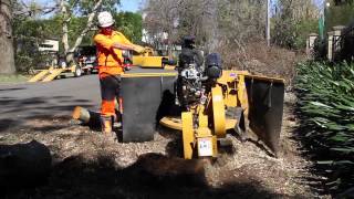 Rayco RG 1635 Test Drive by The Australian Arbor Age 2012