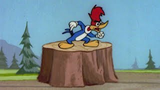 Se roban el árbol de Woody | 2.5 Horas de Episodios Clásicos | El Pájaro Loco