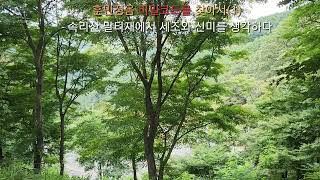 훈민정음 비밀코드를 찾아서(1)/속리산 말티재에서 세조와 신미를 생각하다/월인 최시선