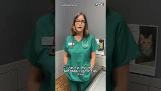 Mental Health for VCA associates!