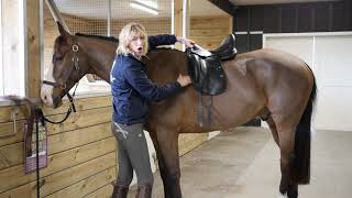 Prestige presents: Checking the balance of your saddle