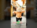 cute cat dance🐱🧭📢 cute baby viralvideo funny @daani p4c