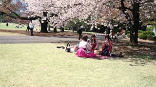 新緑の新宿御苑　ポカポカ陽気でお散歩日和　２０１６．４．１２　 Shinjuku Gyoen Tokyo Japan